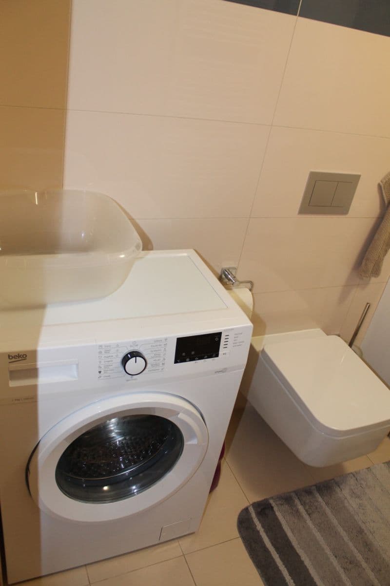 1 bedroom with open-plan kitchen flat to rent, 50 m², Lehovecká, Prague, Prague 1 bedroom with open-plan kitchen flat to rent, 50 m², Lehovecká, Prague, Prague