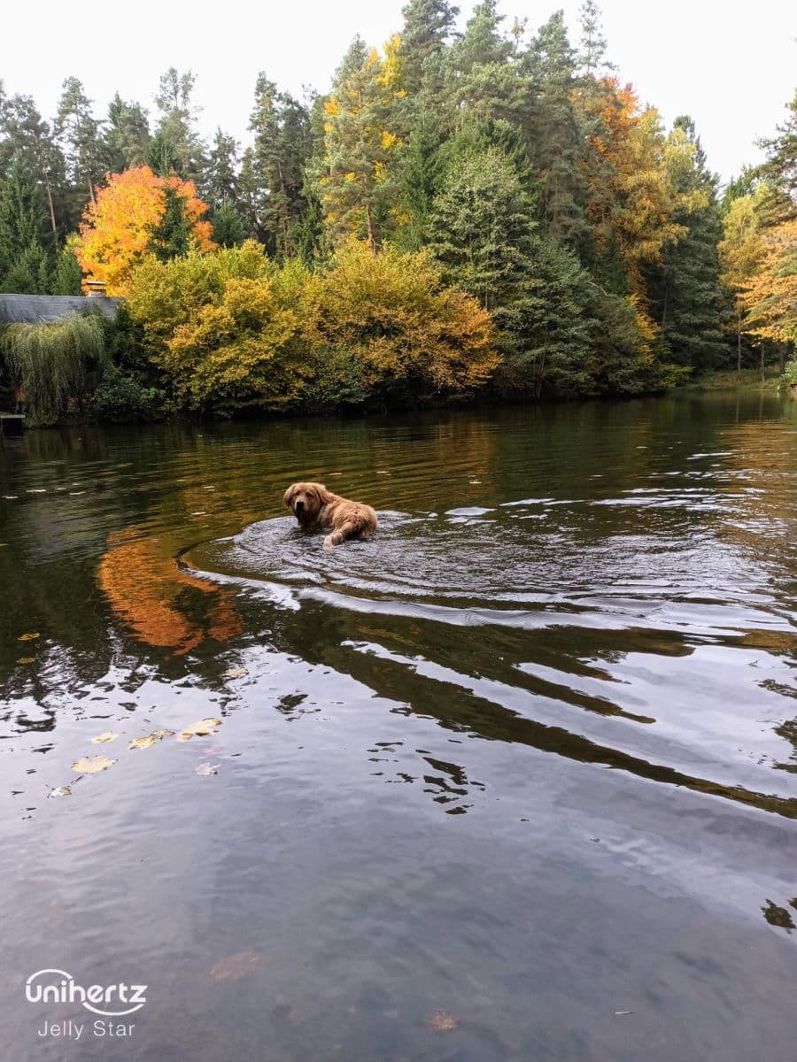 plot for sale, 1,400 m², Vrábče, Jihočeský Region plot for sale, 1,400 m², Vrábče, Jihočeský Region