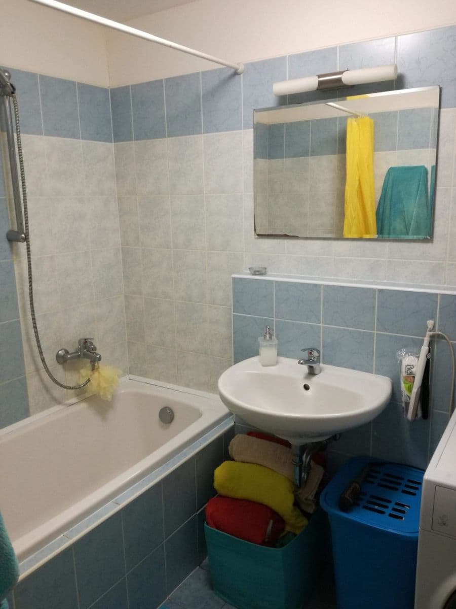 1 bedroom with open-plan kitchen flat for sale, 47 m², Herlíkovická, Prague, Prague 1 bedroom with open-plan kitchen flat for sale, 47 m², Herlíkovická, Prague, Prague