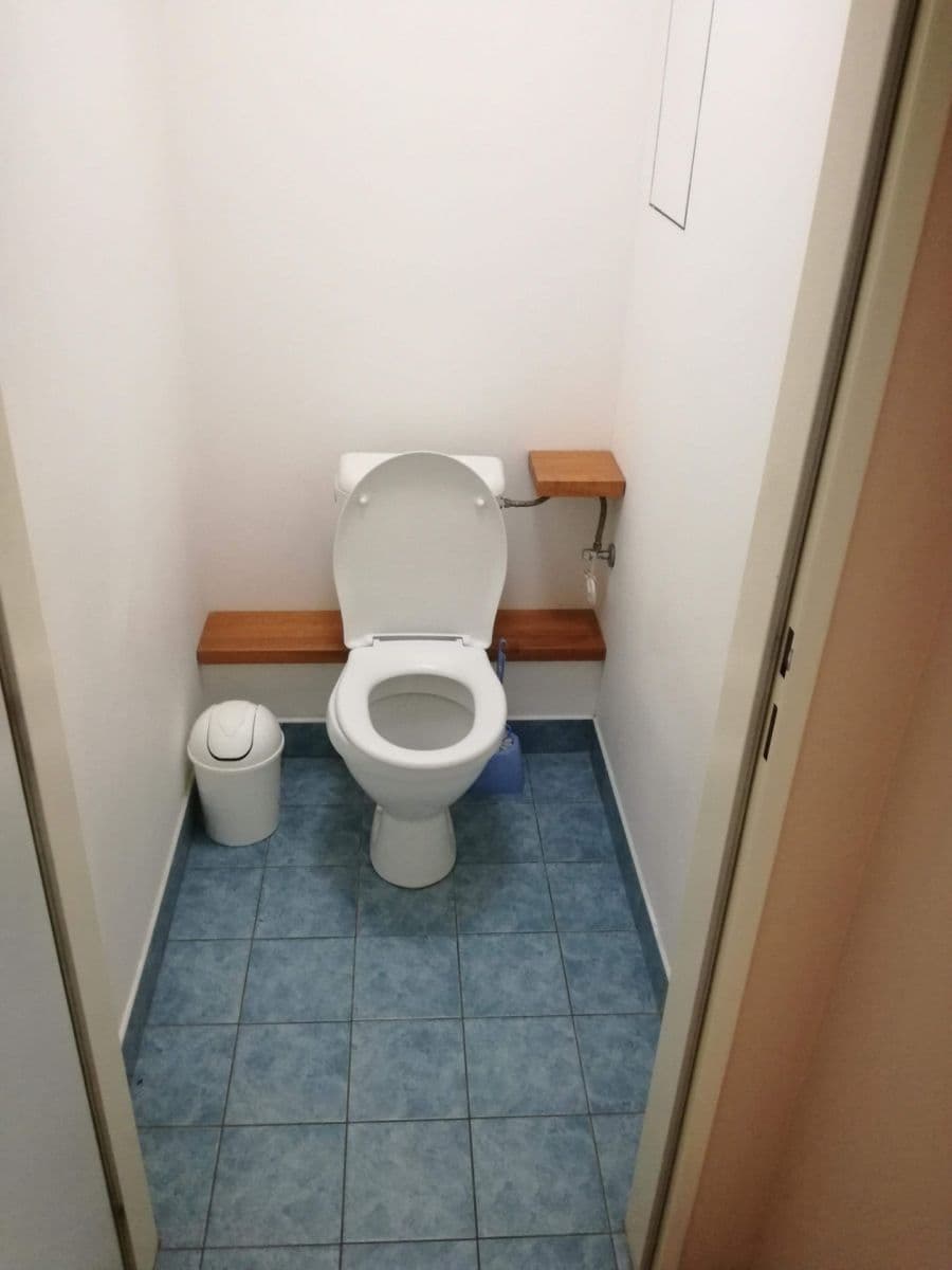 1 bedroom with open-plan kitchen flat for sale, 47 m², Herlíkovická, Prague, Prague 1 bedroom with open-plan kitchen flat for sale, 47 m², Herlíkovická, Prague, Prague