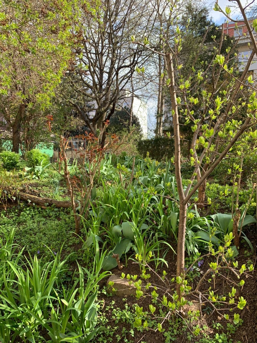 2 bedroom flat to rent, 43 m², Vršovická, Prague, Prague 2 bedroom flat to rent, 43 m², Vršovická, Prague, Prague