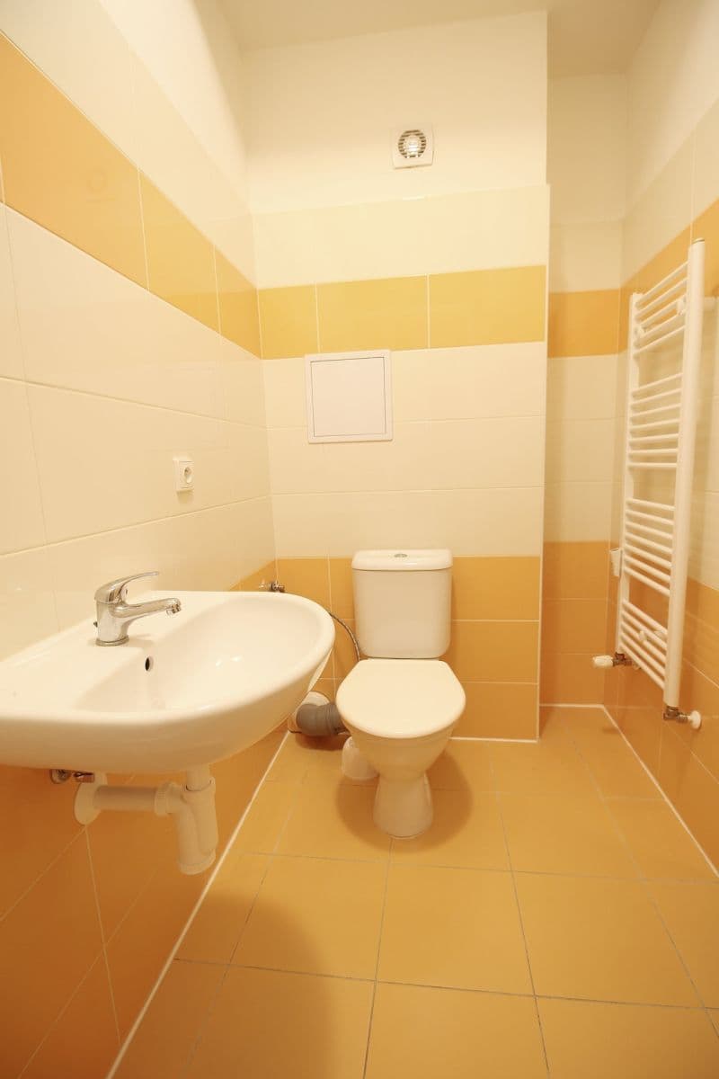 Studio flat to rent, 27 m², Otvovice, Středočeský Region Studio flat to rent, 27 m², Otvovice, Středočeský Region