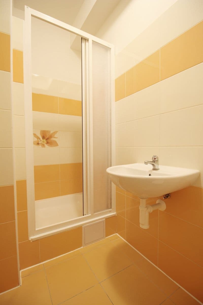 Studio flat to rent, 27 m², Otvovice, Středočeský Region Studio flat to rent, 27 m², Otvovice, Středočeský Region