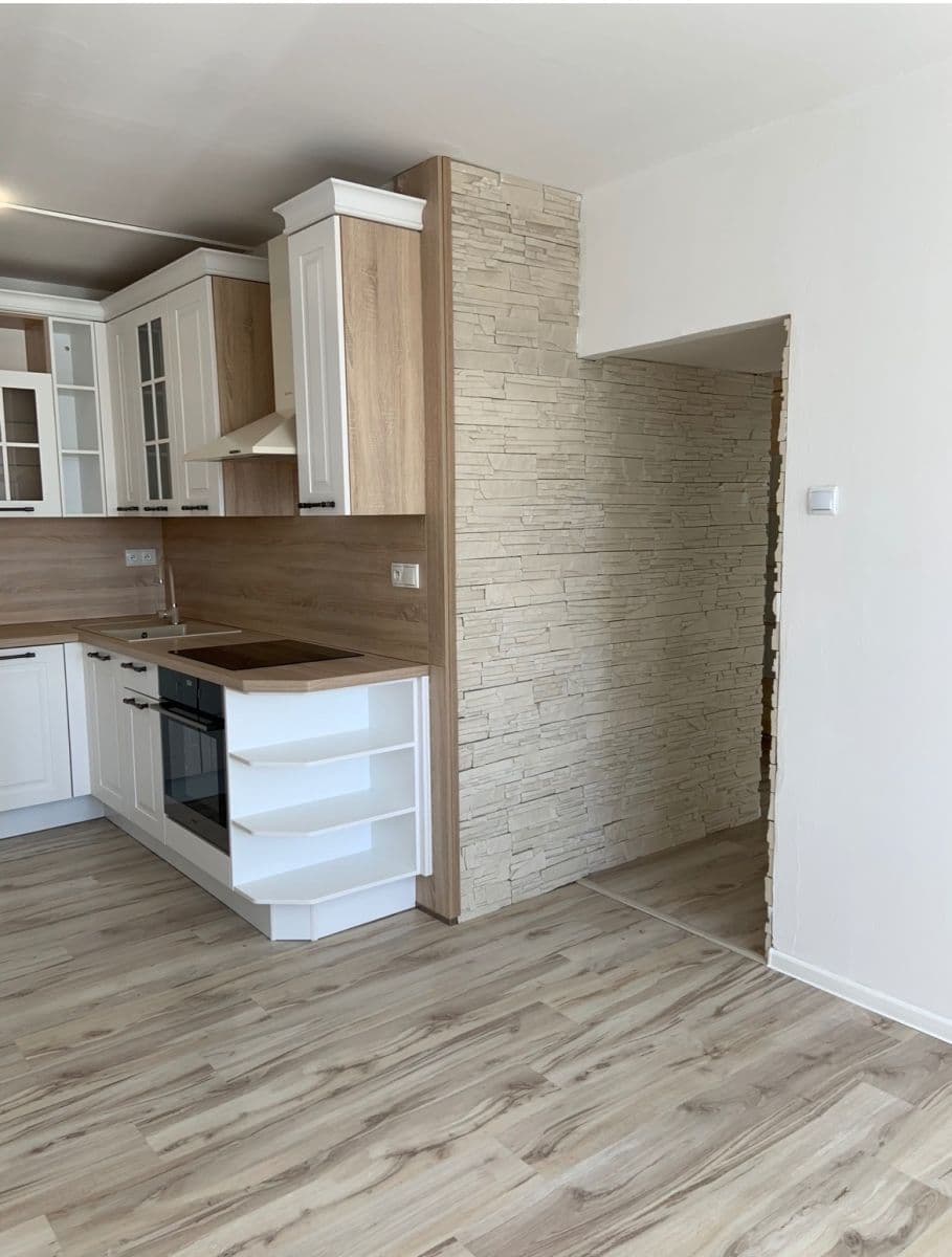 1 bedroom with open-plan kitchen flat to rent, 40 m², Višňová, Most, Ústecký Region 1 bedroom with open-plan kitchen flat to rent, 40 m², Višňová, Most, Ústecký Region