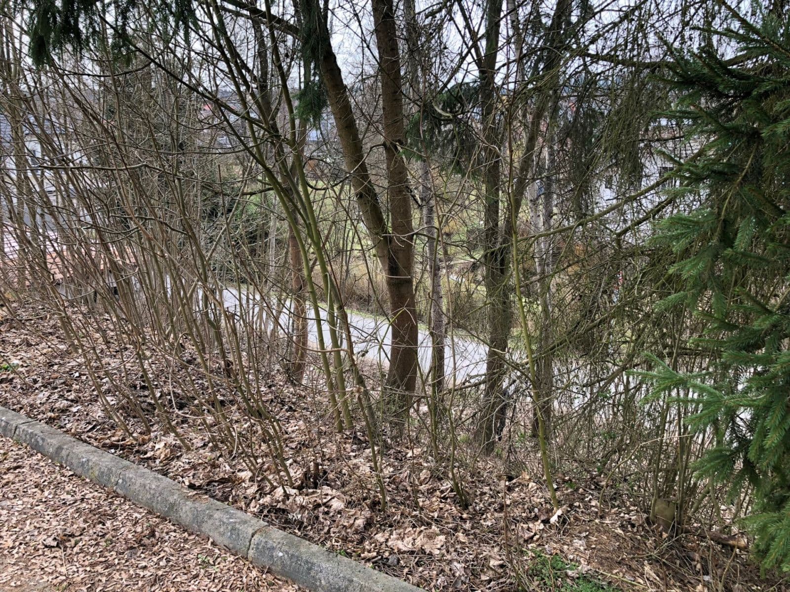 non-residential property for sale, 560 m², Čsl. Legií, Jilemnice, Liberecký Region non-residential property for sale, 560 m², Čsl. Legií, Jilemnice, Liberecký Region