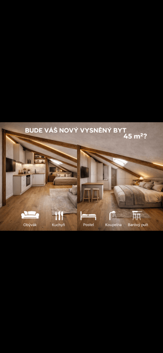 1 bedroom with open-plan kitchen flat for sale, 44 m², Vysokoškolská, Prague, Prague 1 bedroom with open-plan kitchen flat for sale, 44 m², Vysokoškolská, Prague, Prague