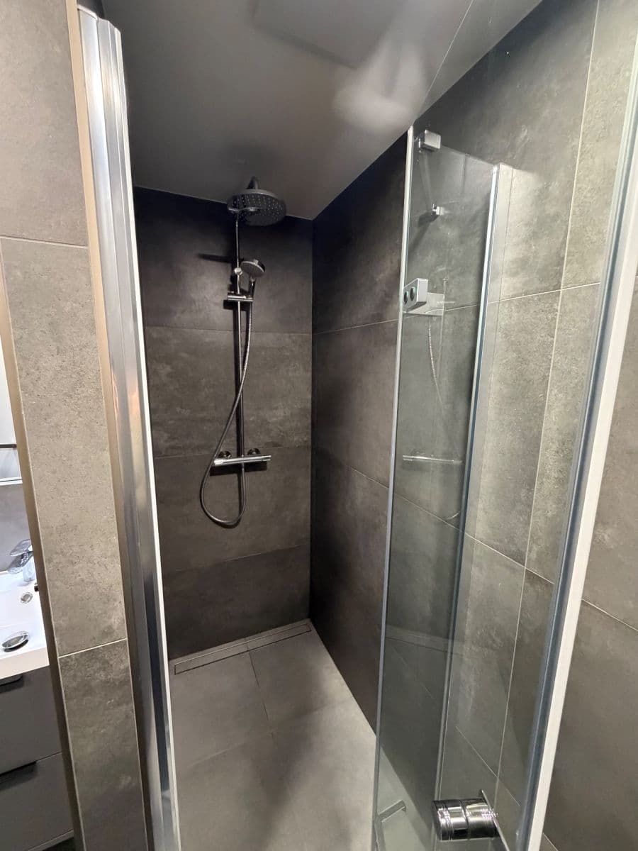 1 bedroom with open-plan kitchen flat to rent, 67 m², Bolívarova, Prague, Prague 1 bedroom with open-plan kitchen flat to rent, 67 m², Bolívarova, Prague, Prague