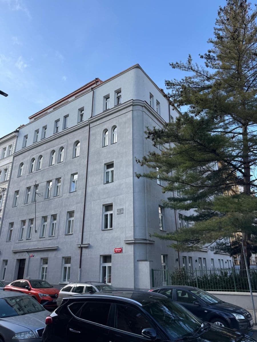 1 bedroom with open-plan kitchen flat to rent, 60 m², Oldřichova, Prague, Prague 1 bedroom with open-plan kitchen flat to rent, 60 m², Oldřichova, Prague, Prague