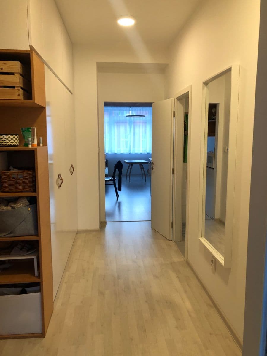 1 bedroom with open-plan kitchen flat to rent, 50 m², Přadlácká, Brno, Jihomoravský Region 1 bedroom with open-plan kitchen flat to rent, 50 m², Přadlácká, Brno, Jihomoravský Region