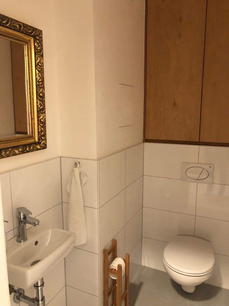 1 bedroom with open-plan kitchen flat to rent, 50 m², Přadlácká, Brno, Jihomoravský Region 1 bedroom with open-plan kitchen flat to rent, 50 m², Přadlácká, Brno, Jihomoravský Region