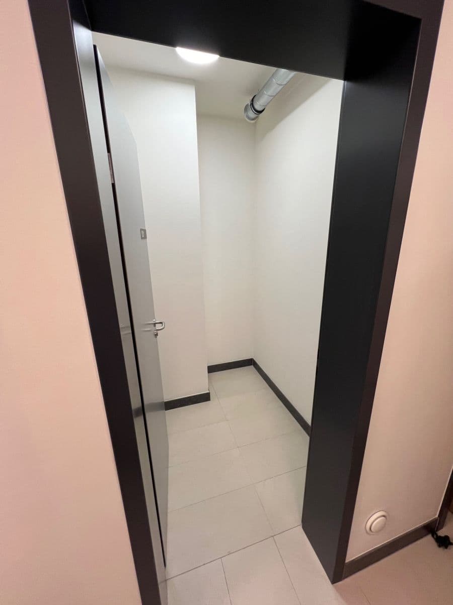 1 bedroom with open-plan kitchen flat to rent, 50 m², Hodkovická, Prague, Prague 1 bedroom with open-plan kitchen flat to rent, 50 m², Hodkovická, Prague, Prague