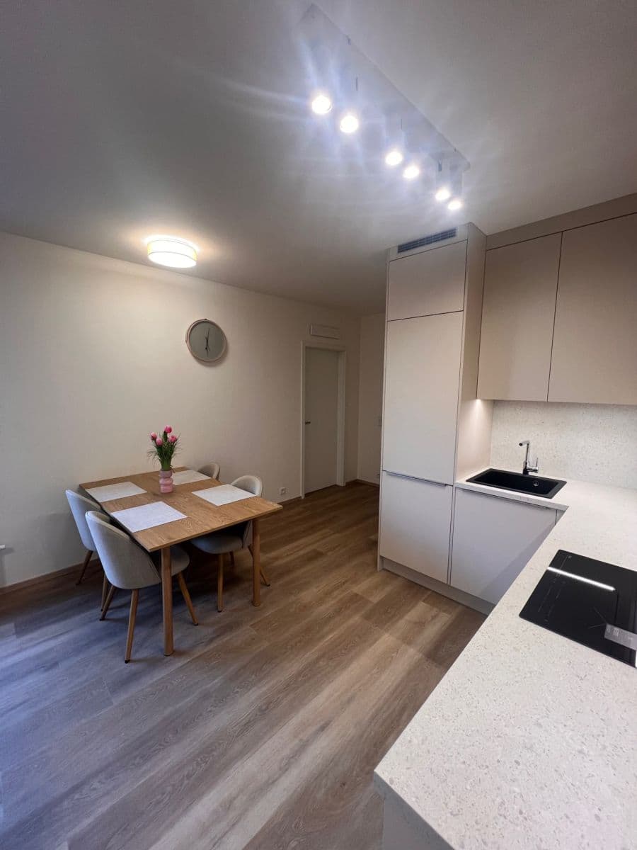 1 bedroom with open-plan kitchen flat to rent, 50 m², Hodkovická, Prague, Prague 1 bedroom with open-plan kitchen flat to rent, 50 m², Hodkovická, Prague, Prague