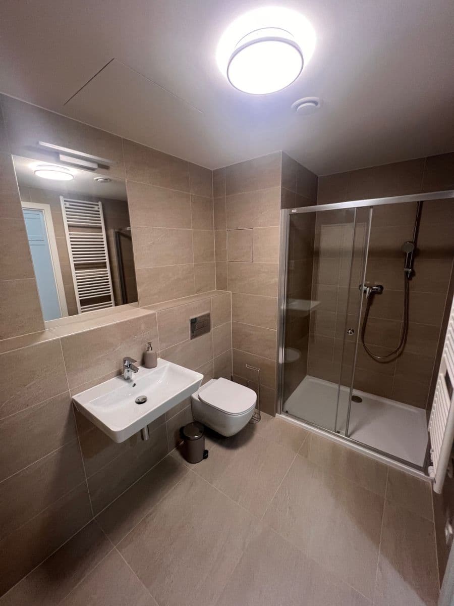 1 bedroom with open-plan kitchen flat to rent, 50 m², Hodkovická, Prague, Prague 1 bedroom with open-plan kitchen flat to rent, 50 m², Hodkovická, Prague, Prague