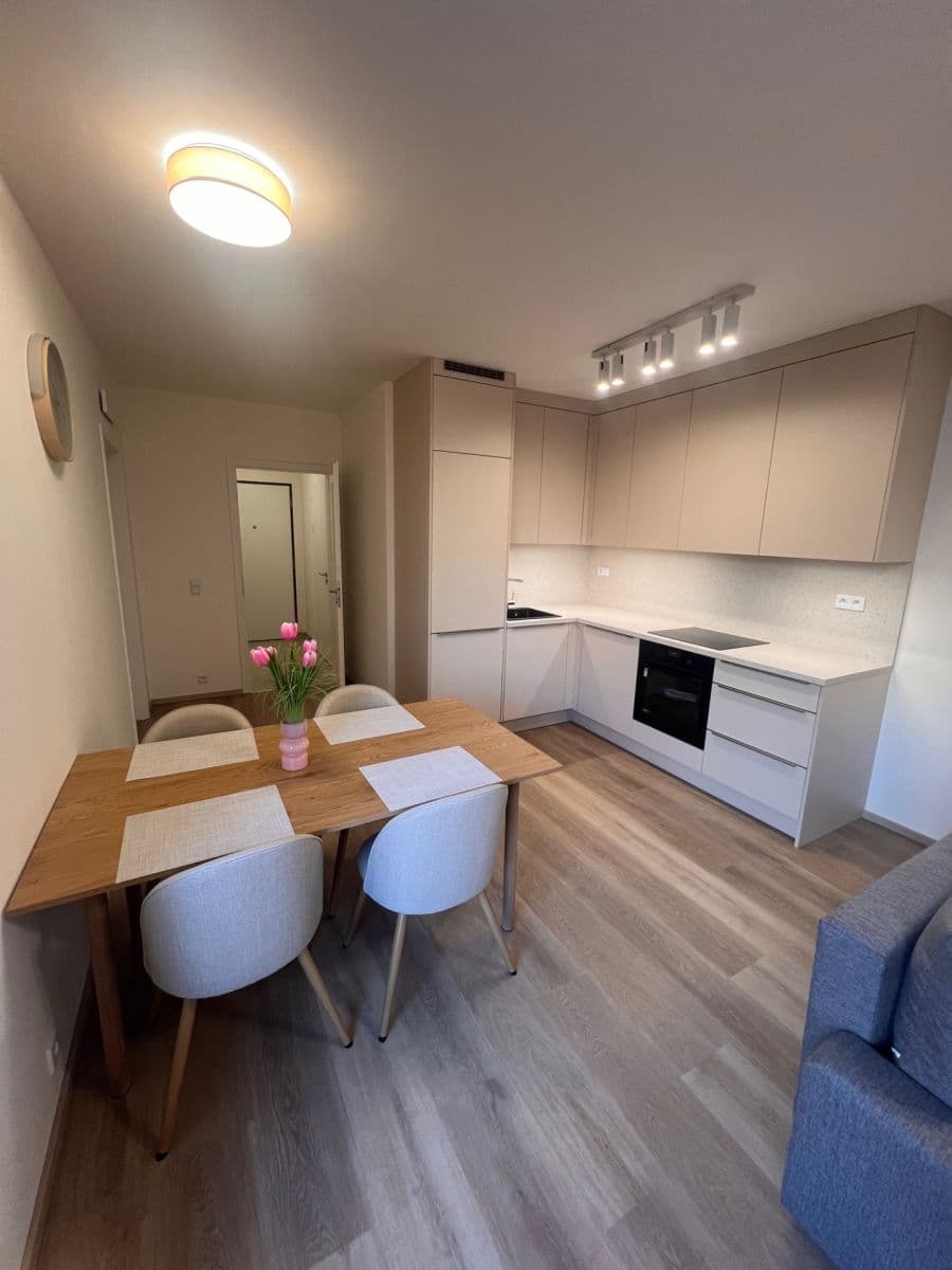 1 bedroom with open-plan kitchen flat to rent, 50 m², Hodkovická, Prague, Prague 1 bedroom with open-plan kitchen flat to rent, 50 m², Hodkovická, Prague, Prague