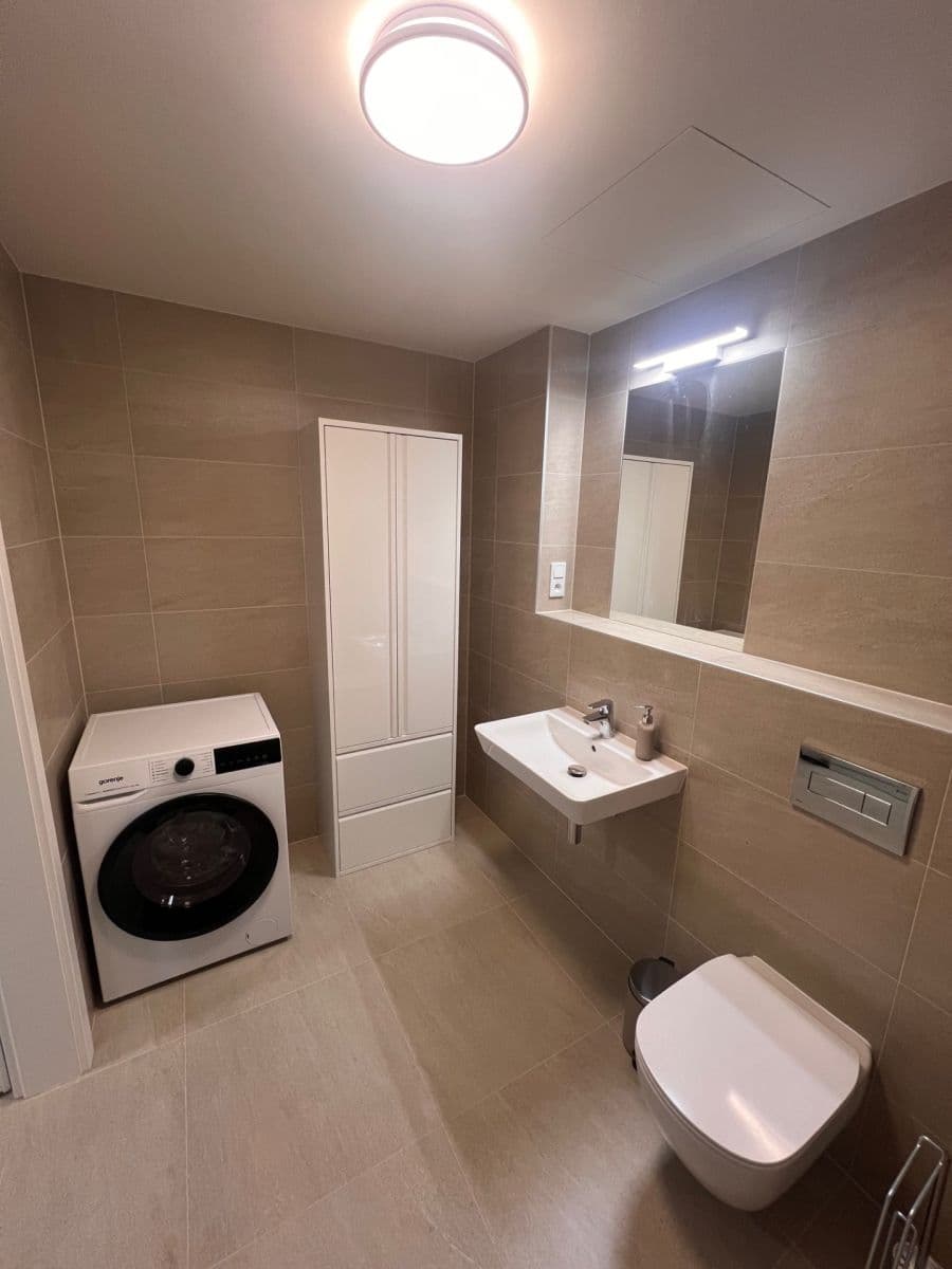 1 bedroom with open-plan kitchen flat to rent, 50 m², Hodkovická, Prague, Prague 1 bedroom with open-plan kitchen flat to rent, 50 m², Hodkovická, Prague, Prague