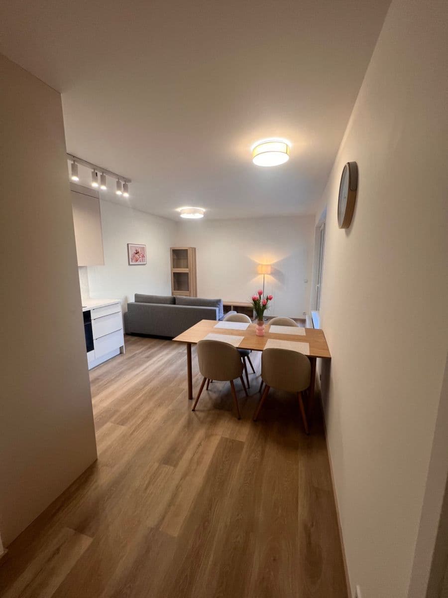 1 bedroom with open-plan kitchen flat to rent, 50 m², Hodkovická, Prague, Prague 1 bedroom with open-plan kitchen flat to rent, 50 m², Hodkovická, Prague, Prague