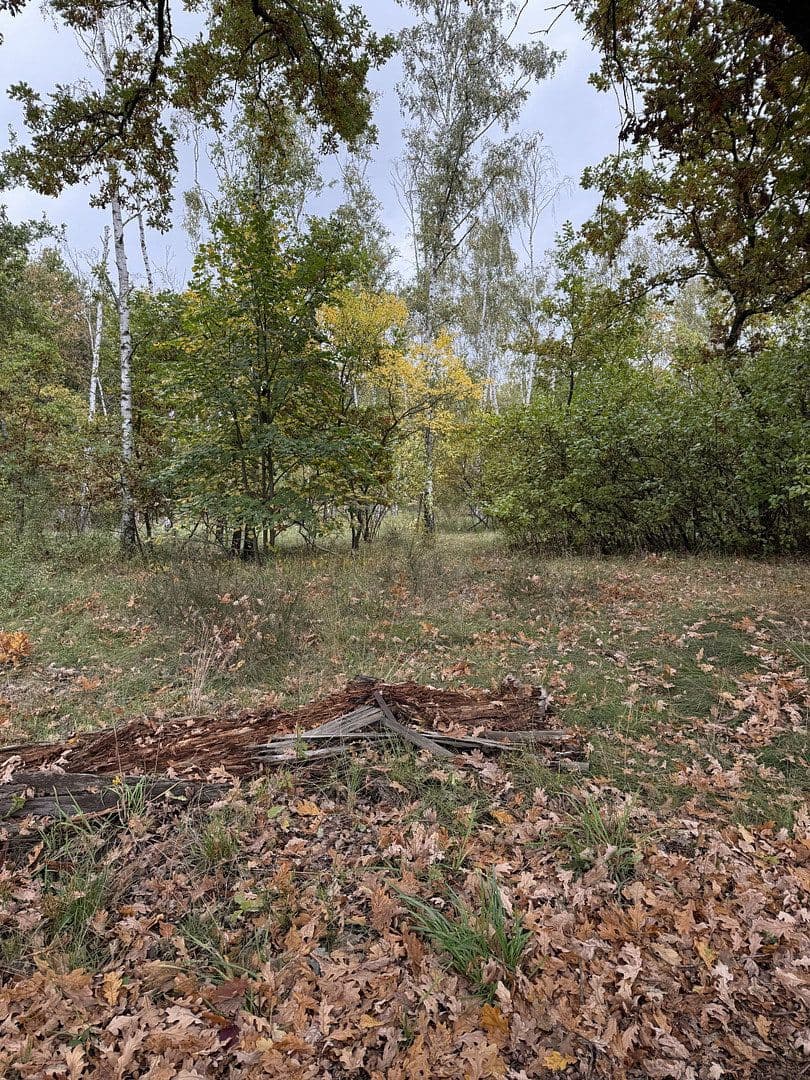 2 bedroom flat to rent, 55 m², Berlin, Berlin 2 bedroom flat to rent, 55 m², Berlin, Berlin