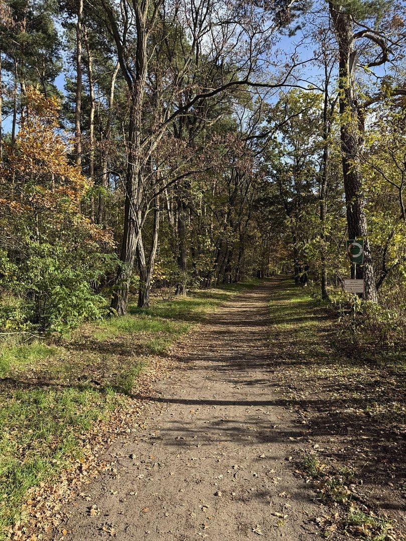 2 bedroom flat to rent, 55 m², Berlin, Berlin 2 bedroom flat to rent, 55 m², Berlin, Berlin