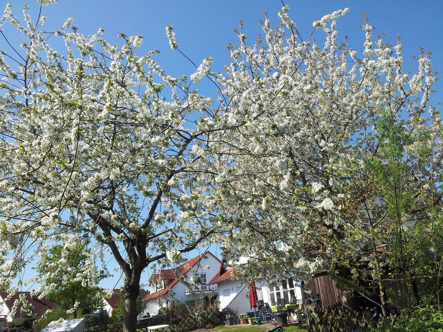 house for sale, 120 m², Garz/Rügen, Mecklenburg-Vorpommern house for sale, 120 m², Garz/Rügen, Mecklenburg-Vorpommern