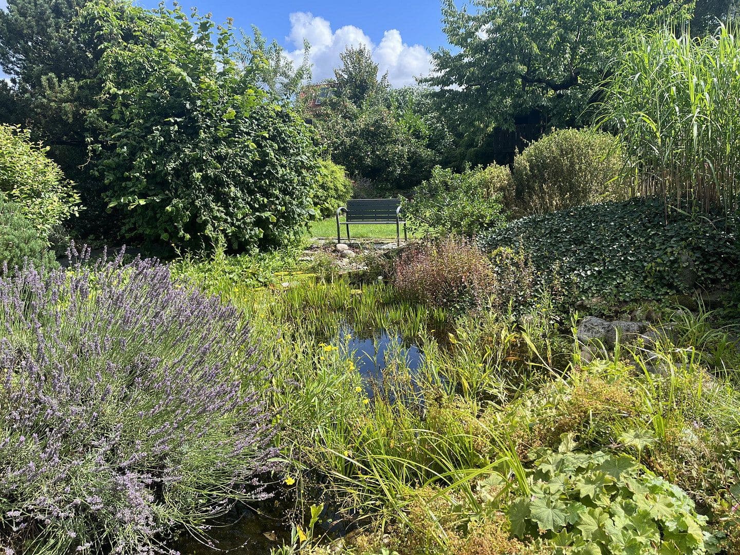 house for sale, 173 m², Deutsch Evern, Lower Saxony house for sale, 173 m², Deutsch Evern, Lower Saxony