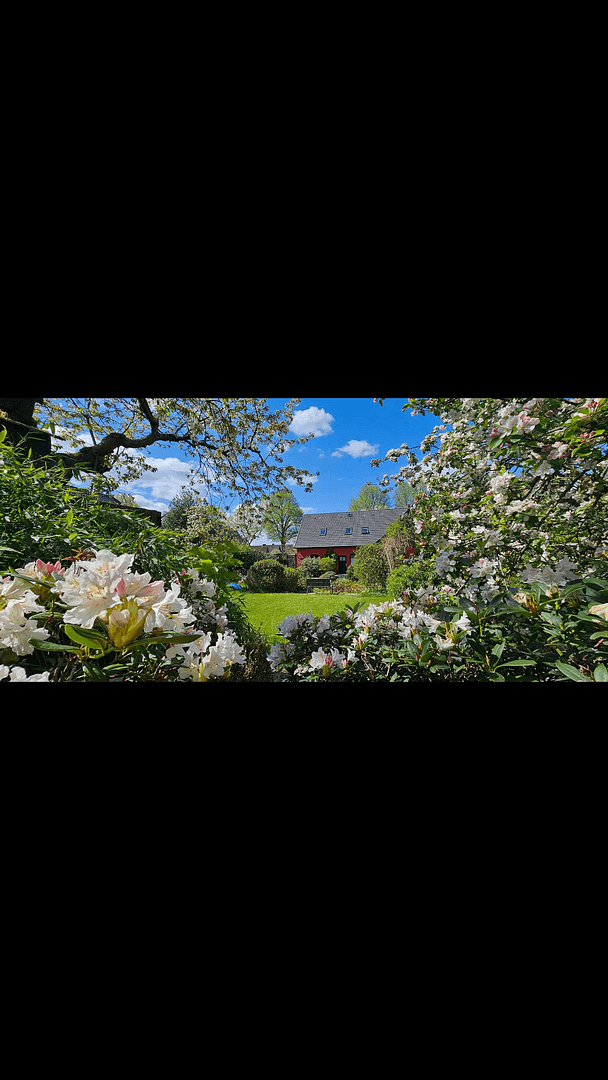 house for sale, 173 m², Deutsch Evern, Lower Saxony house for sale, 173 m², Deutsch Evern, Lower Saxony