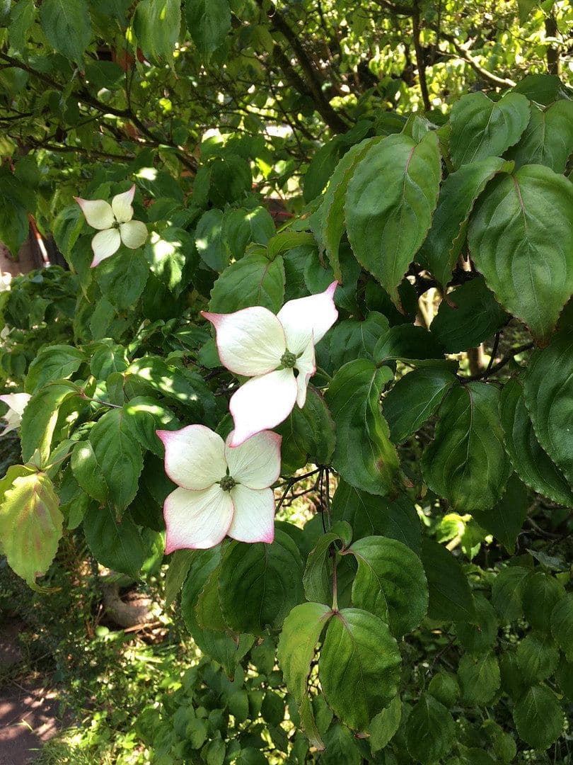 3 bedroom flat for sale, 101 m², Im Erlenbruch, Essen, North Rhine-Westphalia 3 bedroom flat for sale, 101 m², Im Erlenbruch, Essen, North Rhine-Westphalia