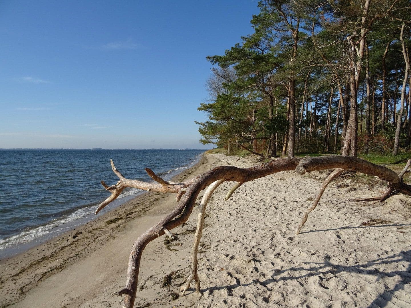 house for sale, 120 m², Garz/Rügen, Mecklenburg-Vorpommern house for sale, 120 m², Garz/Rügen, Mecklenburg-Vorpommern