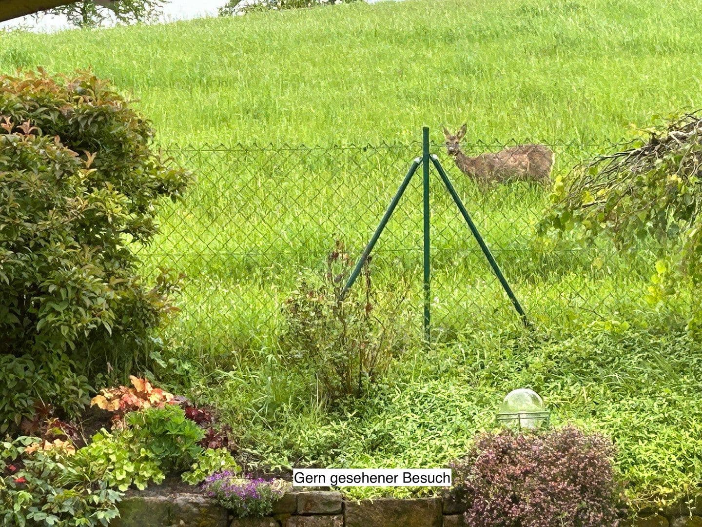 house for sale, 181 m², Hangstraße 18, Nünschweiler, Rhineland-Palatinate house for sale, 181 m², Hangstraße 18, Nünschweiler, Rhineland-Palatinate