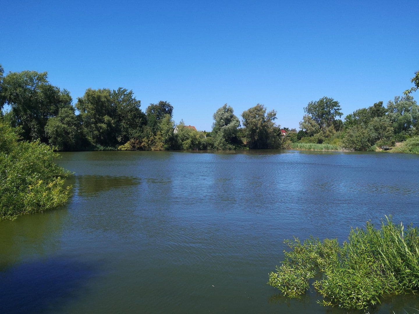 house for sale, 200 m², Saal, Mecklenburg-Vorpommern house for sale, 200 m², Saal, Mecklenburg-Vorpommern