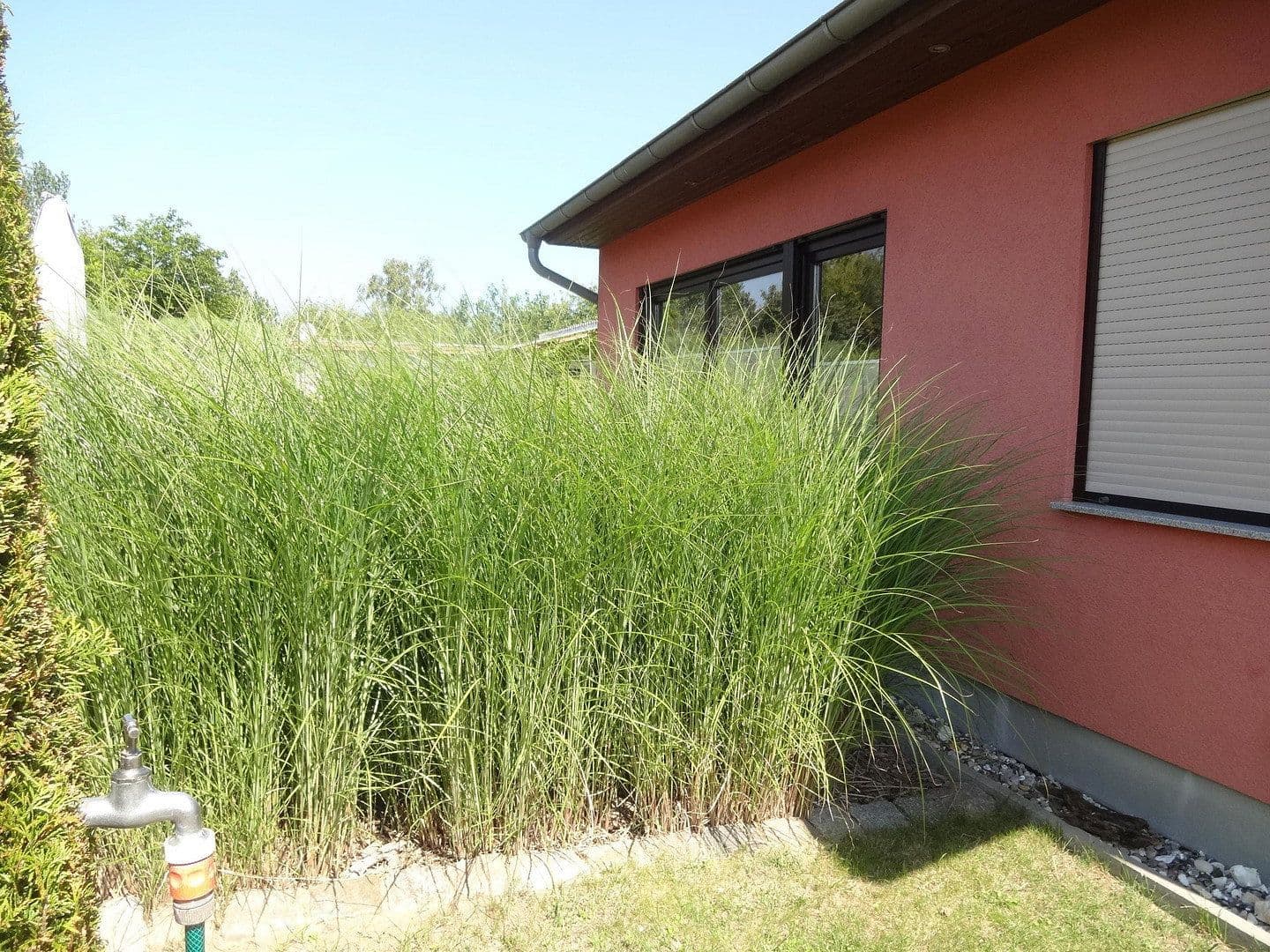 house for sale, 53 m², Seepferdchenweg 21, Loissin, Mecklenburg-Vorpommern house for sale, 53 m², Seepferdchenweg 21, Loissin, Mecklenburg-Vorpommern