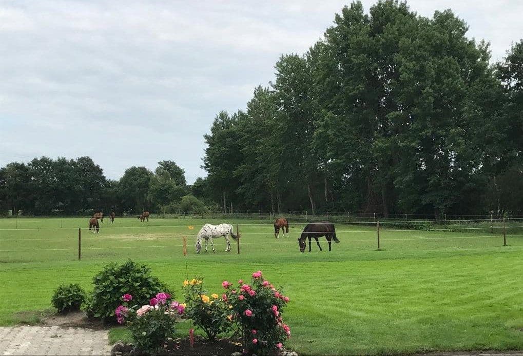 1 bedroom flat to rent, 37 m², Neulehe, Lower Saxony 1 bedroom flat to rent, 37 m², Neulehe, Lower Saxony