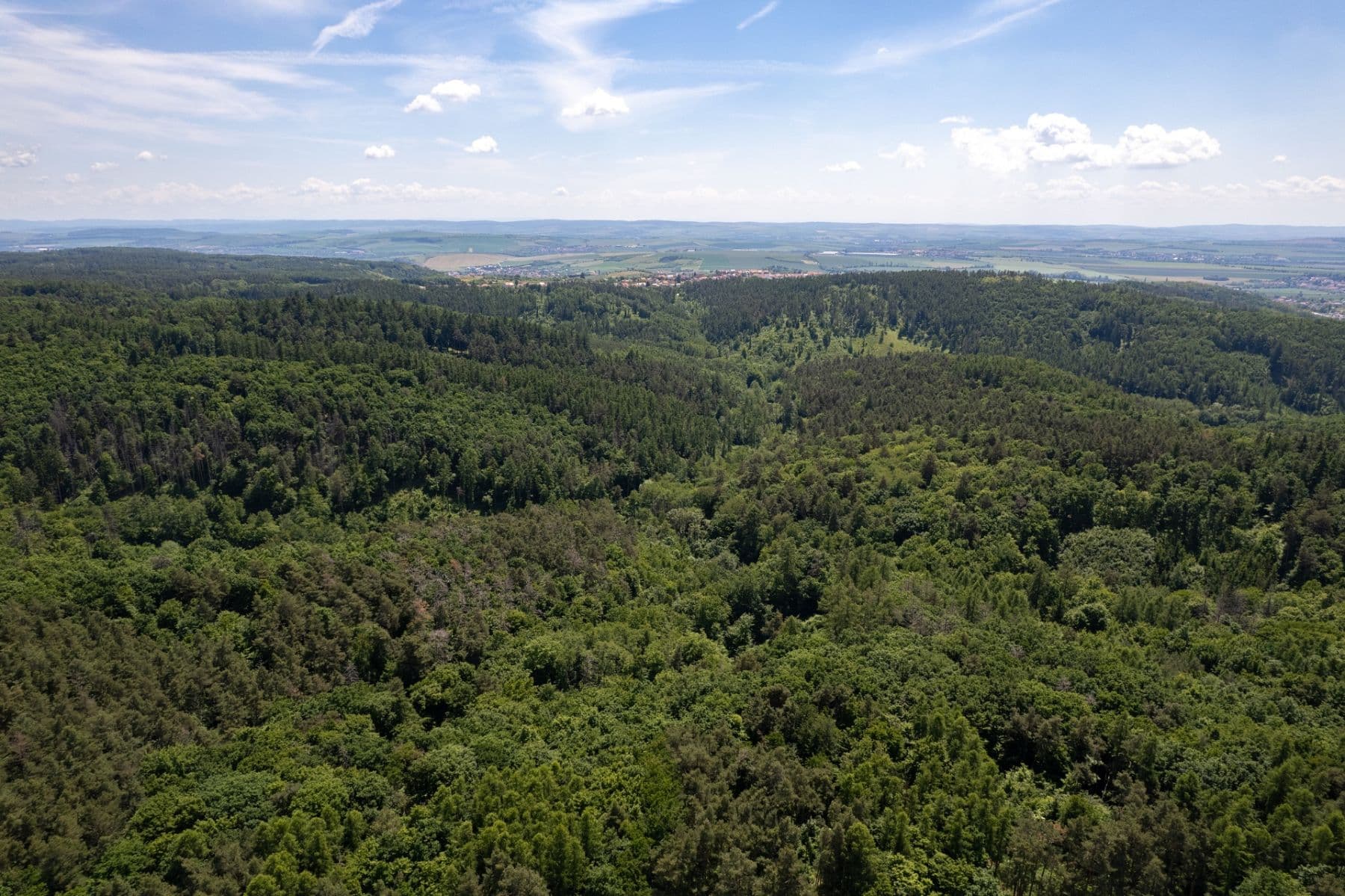 plot for sale, 3,101 m², Hostěnice, Jihomoravský Region plot for sale, 3,101 m², Hostěnice, Jihomoravský Region