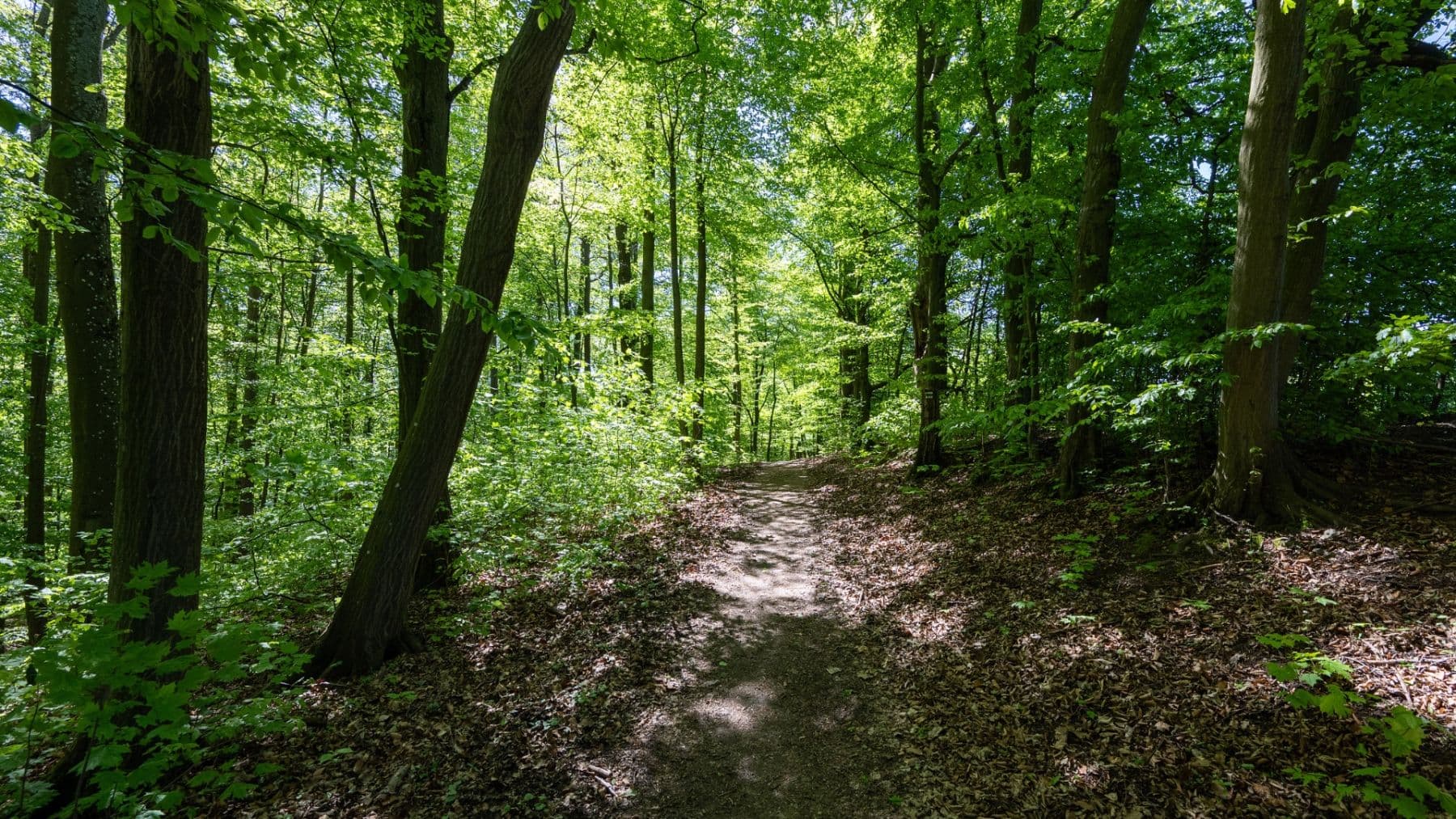 plot for sale, 3,101 m², Hostěnice, Jihomoravský Region plot for sale, 3,101 m², Hostěnice, Jihomoravský Region