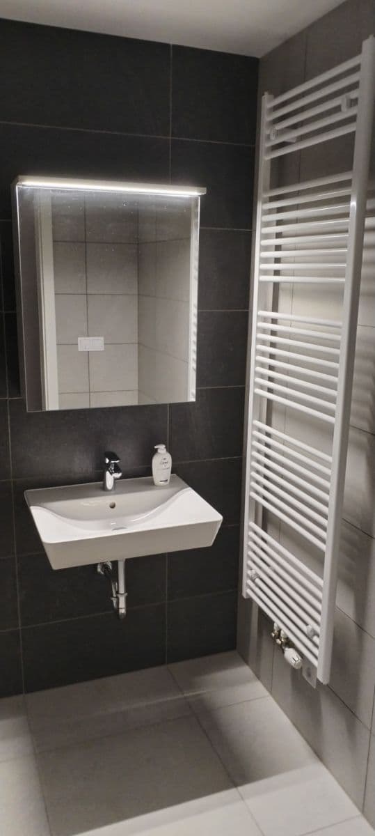 1 bedroom with open-plan kitchen flat to rent, 48 m², Spolková, Brno, Jihomoravský Region 1 bedroom with open-plan kitchen flat to rent, 48 m², Spolková, Brno, Jihomoravský Region