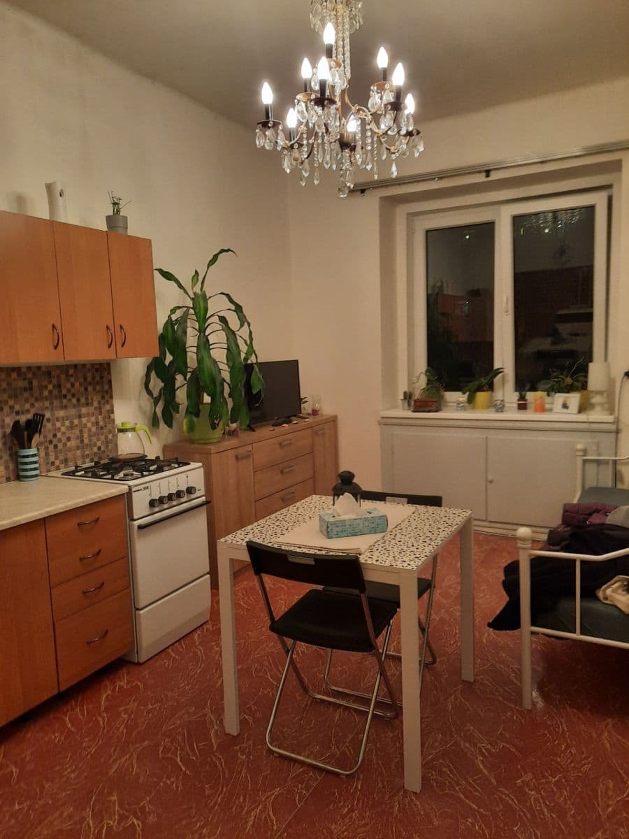 1 bedroom with open-plan kitchen flat to rent, 45 m², Vrchlického, Prague, Prague 1 bedroom with open-plan kitchen flat to rent, 45 m², Vrchlického, Prague, Prague