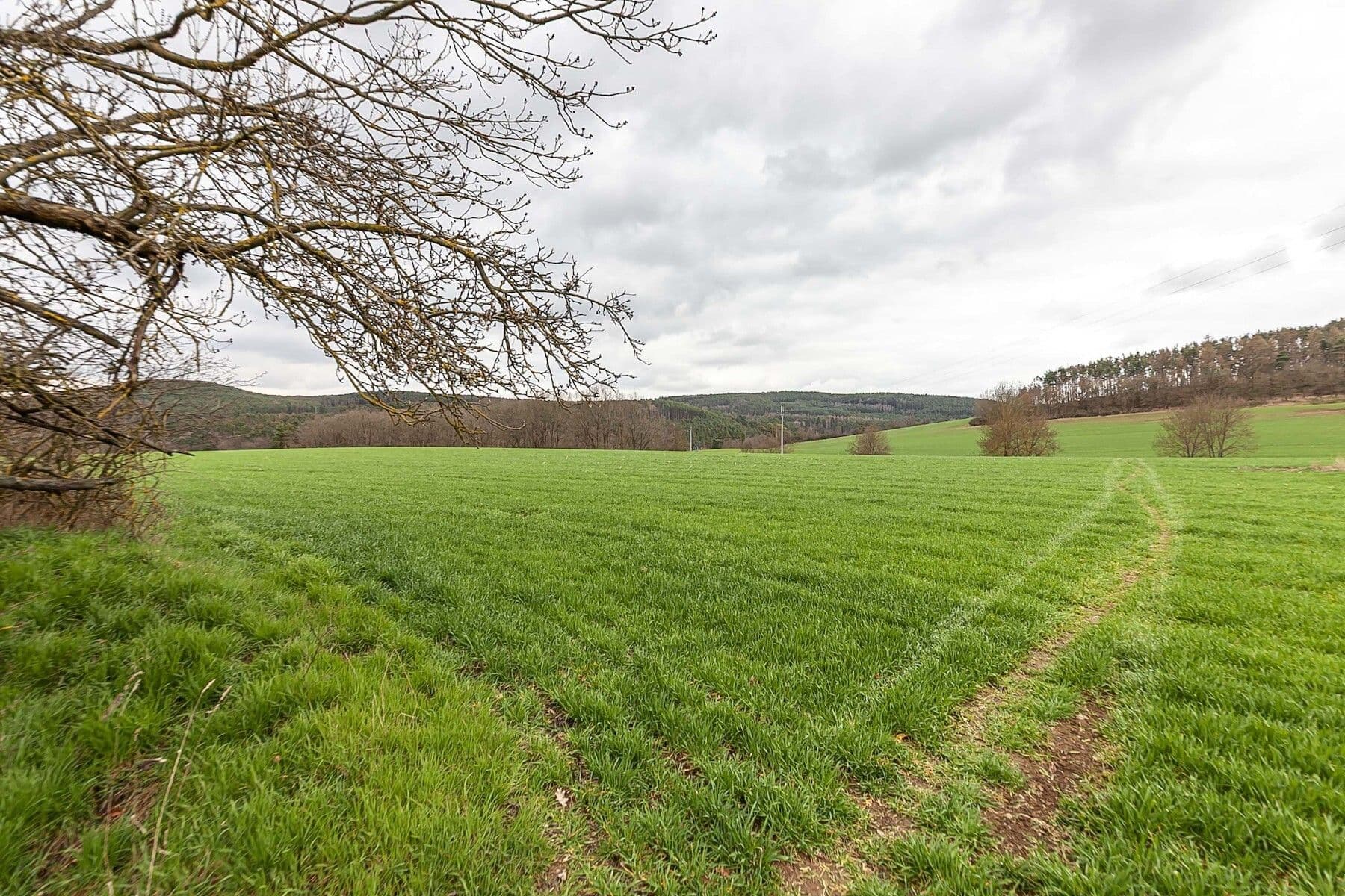 plot for sale, 34,543 m², Hřiměždice, Středočeský Region plot for sale, 34,543 m², Hřiměždice, Středočeský Region