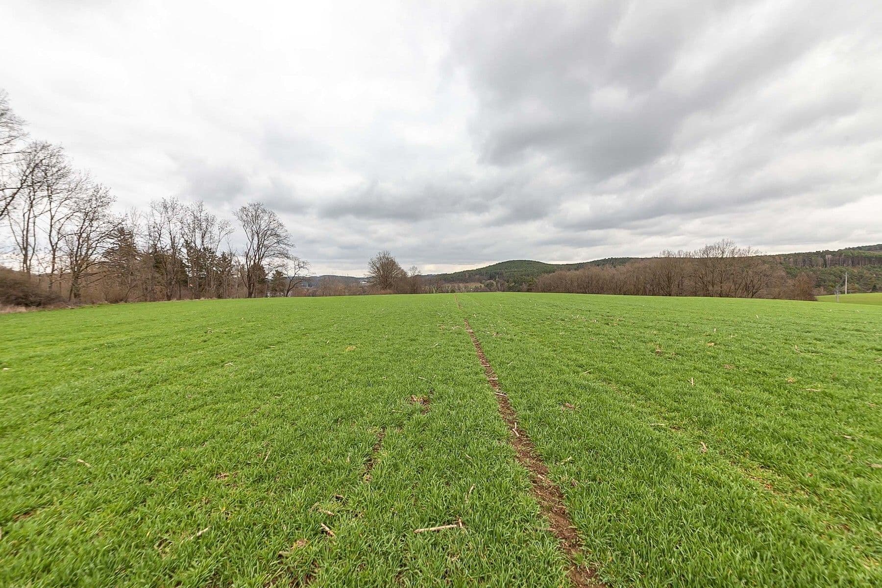 plot for sale, 34,543 m², Hřiměždice, Středočeský Region plot for sale, 34,543 m², Hřiměždice, Středočeský Region