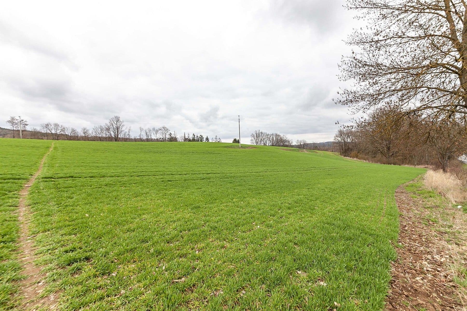 plot for sale, 34,543 m², Hřiměždice, Středočeský Region plot for sale, 34,543 m², Hřiměždice, Středočeský Region