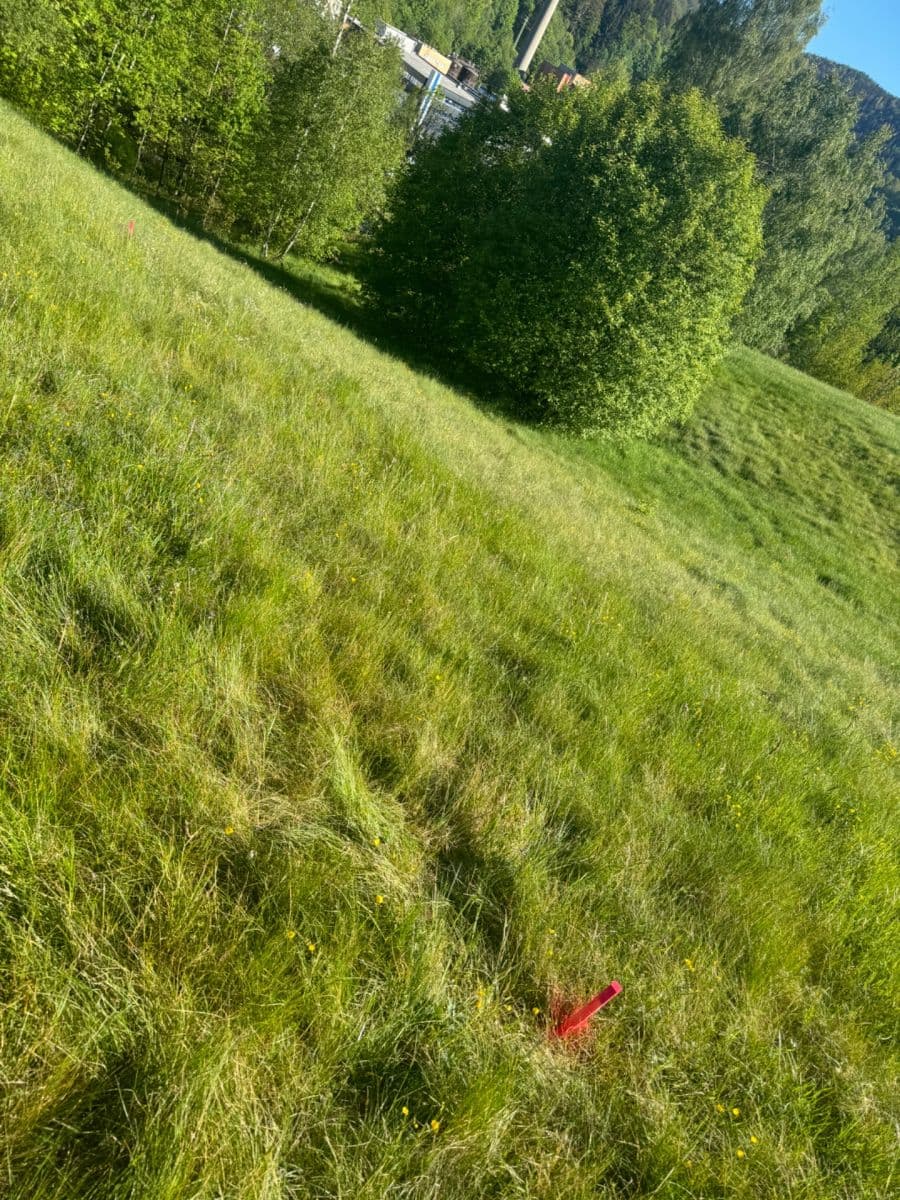 house for sale, 140 m², Pustinská, Desná, Liberecký Region house for sale, 140 m², Pustinská, Desná, Liberecký Region