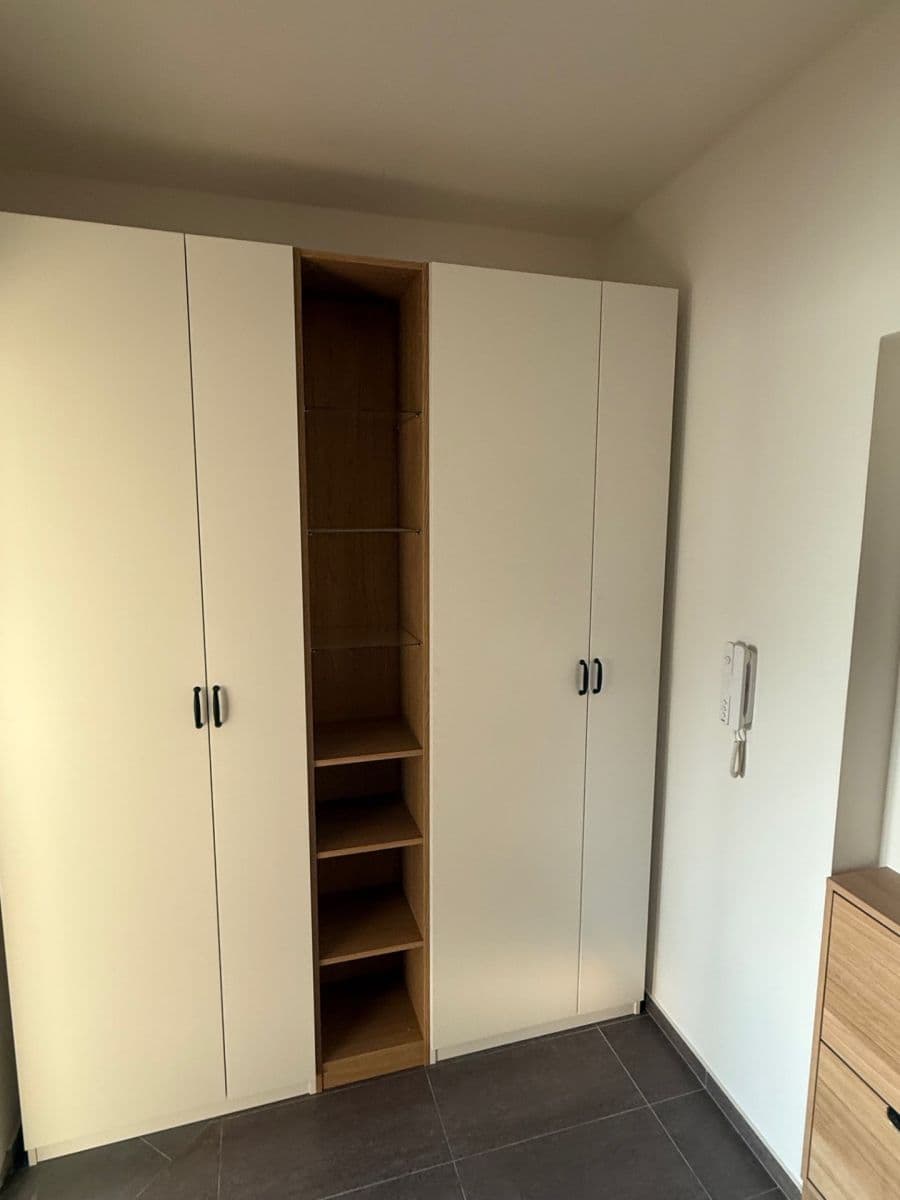 1 bedroom with open-plan kitchen flat to rent, 50 m², Šperlova, Prague, Prague 1 bedroom with open-plan kitchen flat to rent, 50 m², Šperlova, Prague, Prague