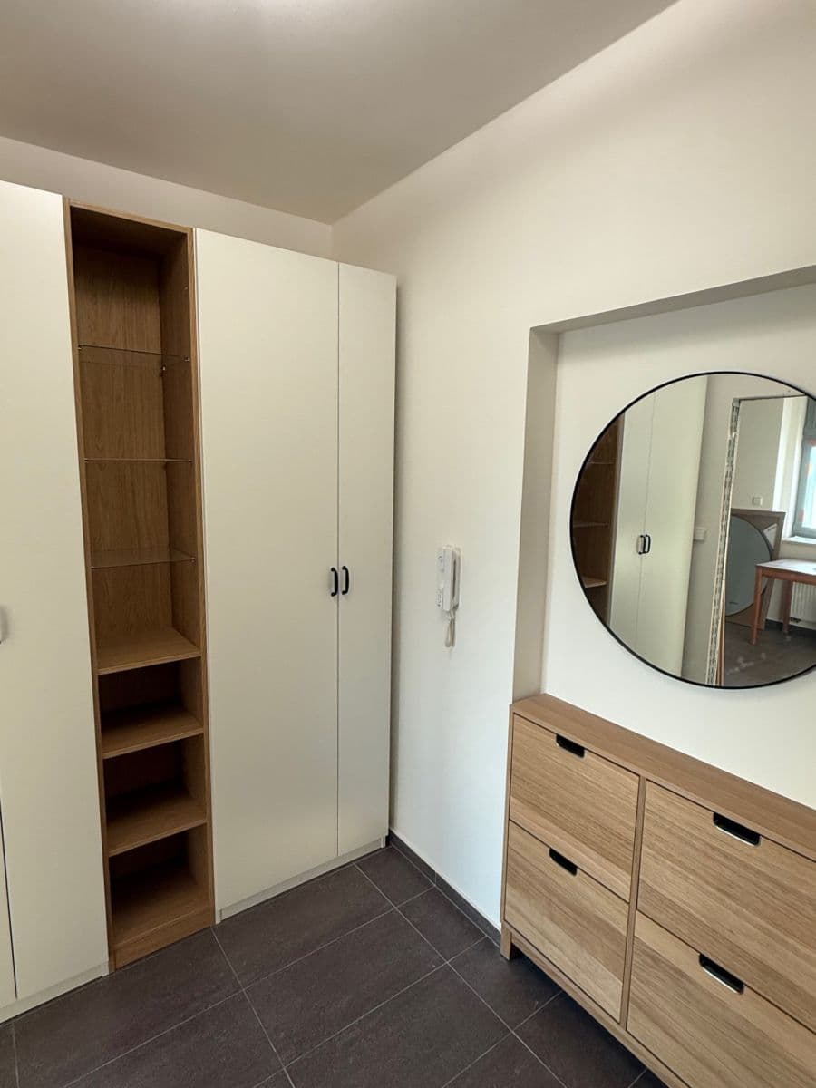 1 bedroom with open-plan kitchen flat to rent, 50 m², Šperlova, Prague, Prague 1 bedroom with open-plan kitchen flat to rent, 50 m², Šperlova, Prague, Prague