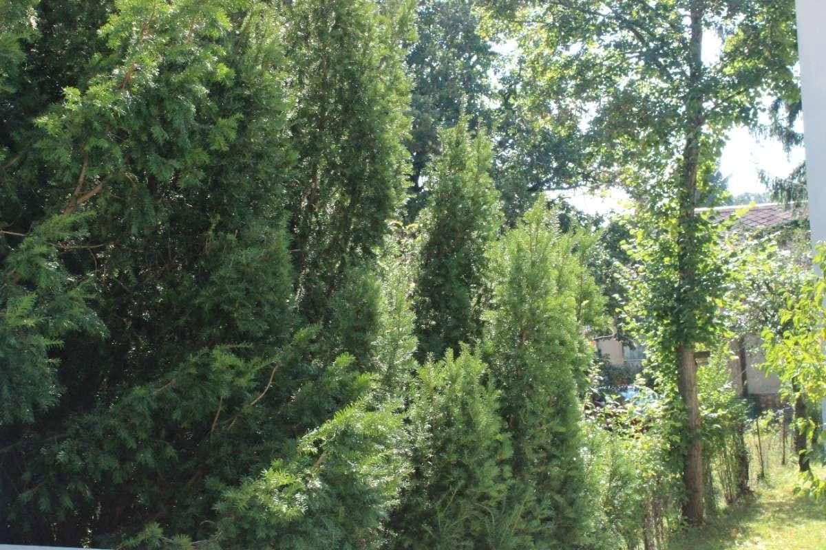 3 bedroom with open-plan kitchen flat for sale, 110 m², Leitengasse, Wien, Vienna 3 bedroom with open-plan kitchen flat for sale, 110 m², Leitengasse, Wien, Vienna