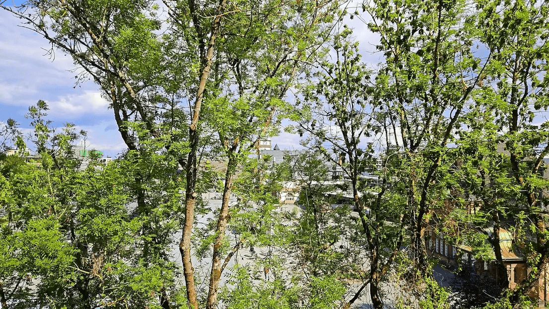 1 bedroom with open-plan kitchen flat to rent, 67 m², Frölingstraße 5c, Bad Homburg vor der Höhe, Hesse 1 bedroom with open-plan kitchen flat to rent, 67 m², Frölingstraße 5c, Bad Homburg vor der Höhe, Hesse