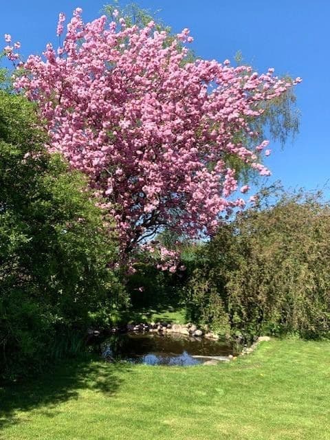 house for sale, 186 m², Ottendorf, Schleswig-Holstein house for sale, 186 m², Ottendorf, Schleswig-Holstein