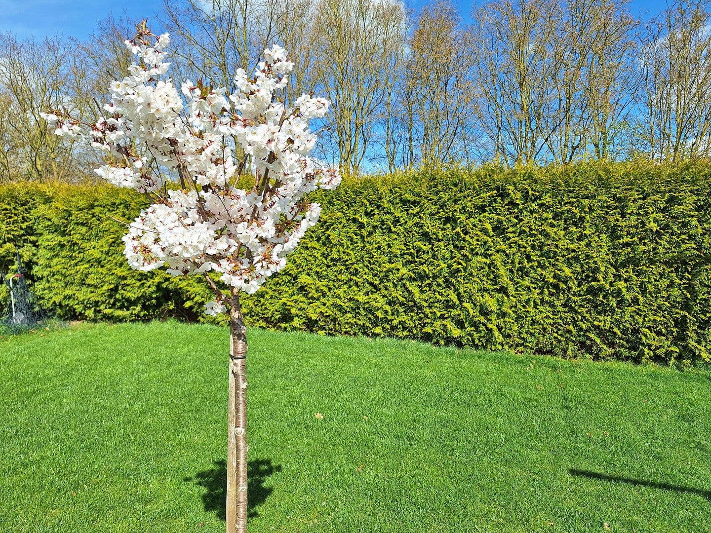 house for sale, 284 m², Dersum, Lower Saxony house for sale, 284 m², Dersum, Lower Saxony