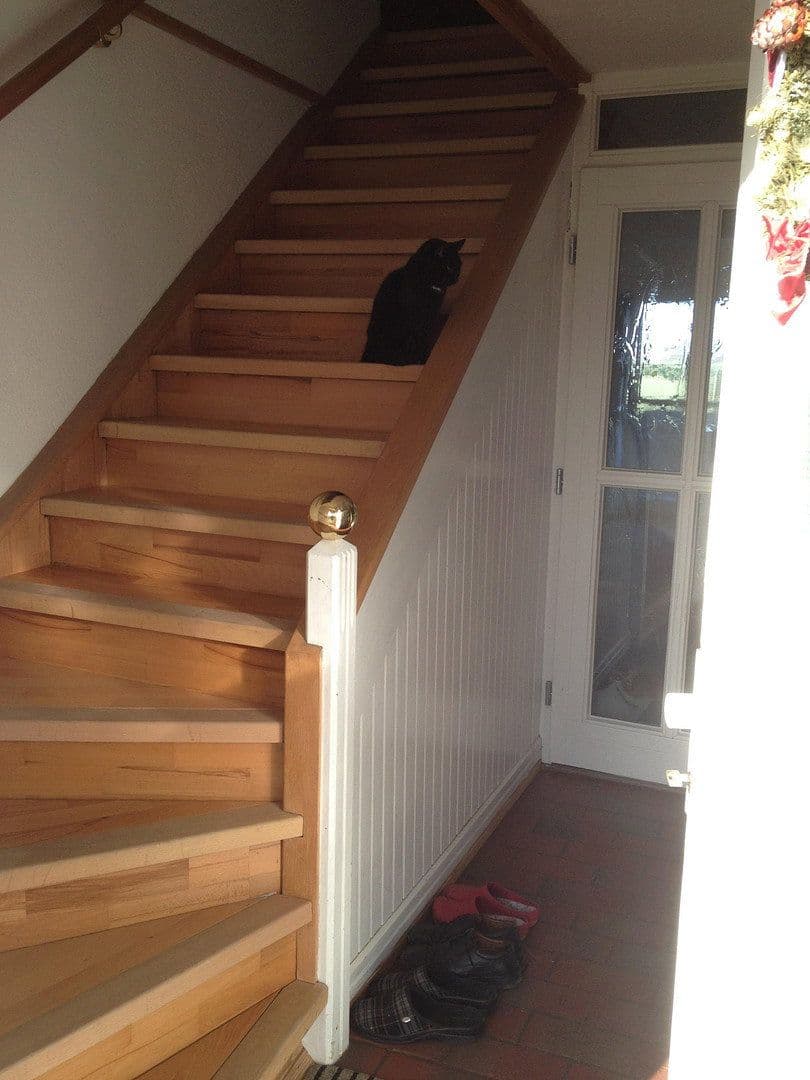 house for sale, 500 m², Penzlin, Mecklenburg-Vorpommern house for sale, 500 m², Penzlin, Mecklenburg-Vorpommern