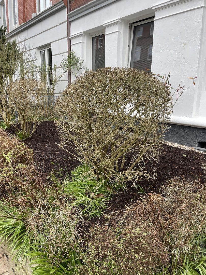 4 bedroom flat to rent, 95 m², Fockstrasse 26, Kiel, Schleswig-Holstein 4 bedroom flat to rent, 95 m², Fockstrasse 26, Kiel, Schleswig-Holstein