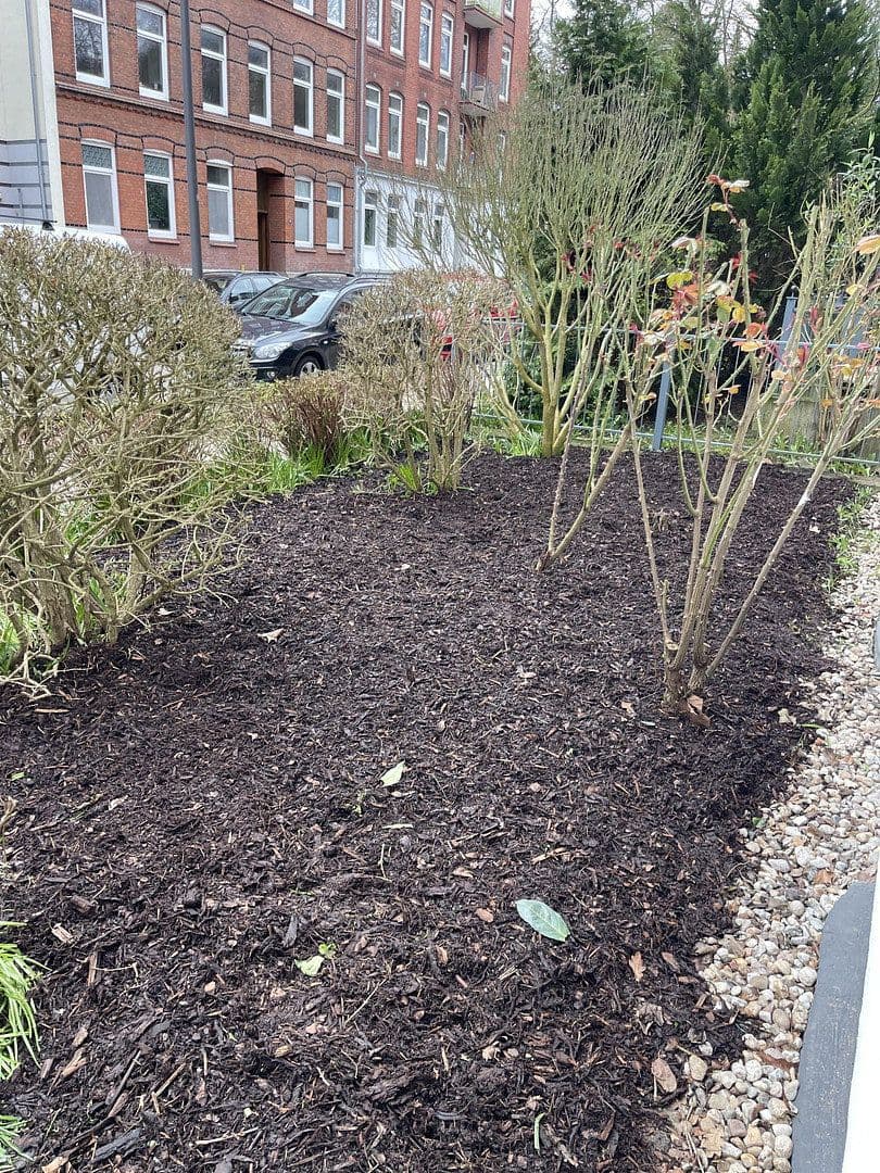 4 bedroom flat to rent, 95 m², Fockstrasse 26, Kiel, Schleswig-Holstein 4 bedroom flat to rent, 95 m², Fockstrasse 26, Kiel, Schleswig-Holstein