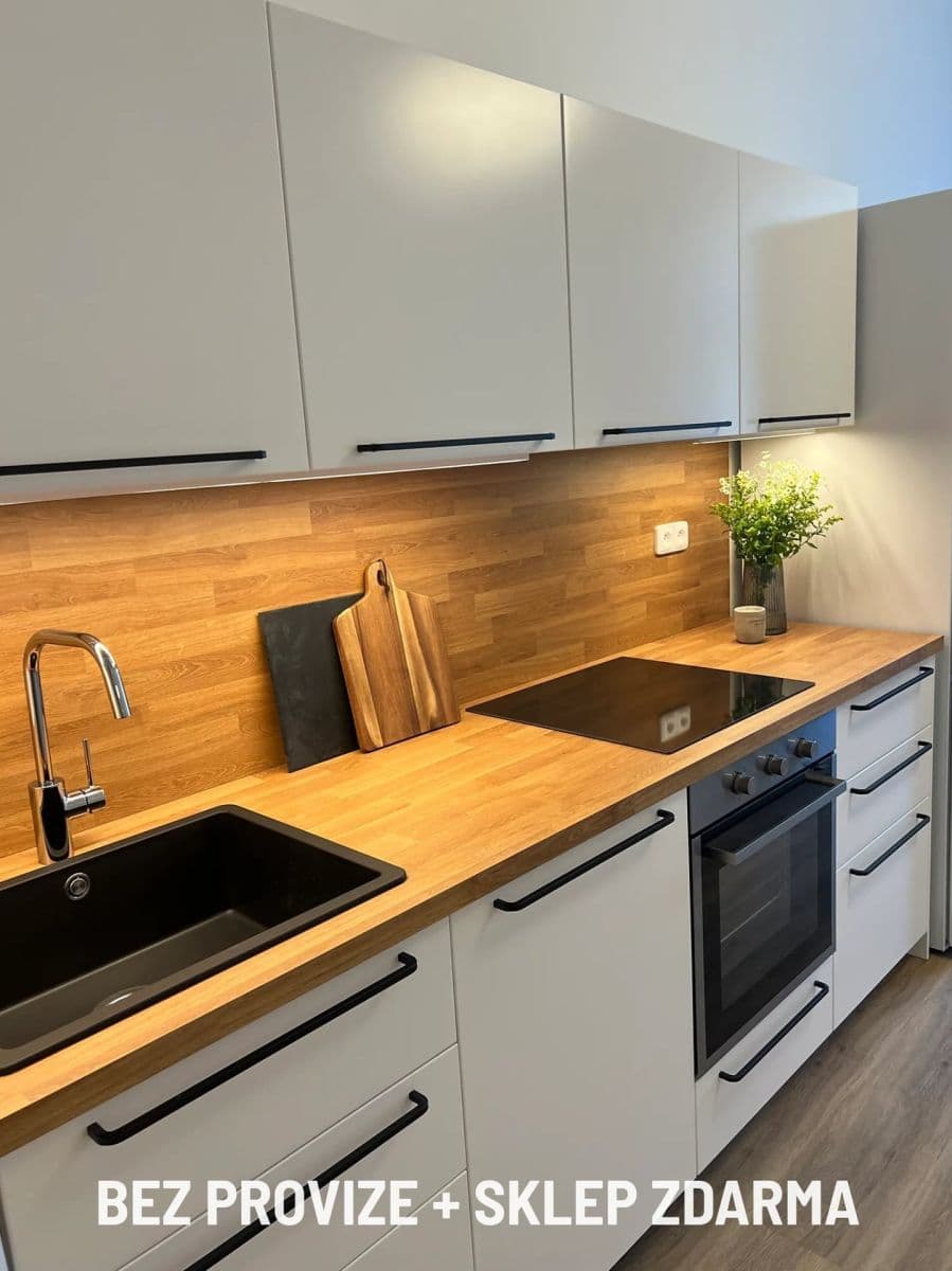 1 bedroom with open-plan kitchen flat to rent, 45 m², Sládkova, Prague, Prague 1 bedroom with open-plan kitchen flat to rent, 45 m², Sládkova, Prague, Prague