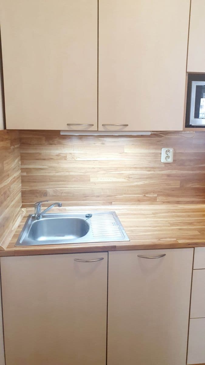 1 bedroom with open-plan kitchen flat to rent, 45 m², Nad Ohradou, Prague, Prague 1 bedroom with open-plan kitchen flat to rent, 45 m², Nad Ohradou, Prague, Prague